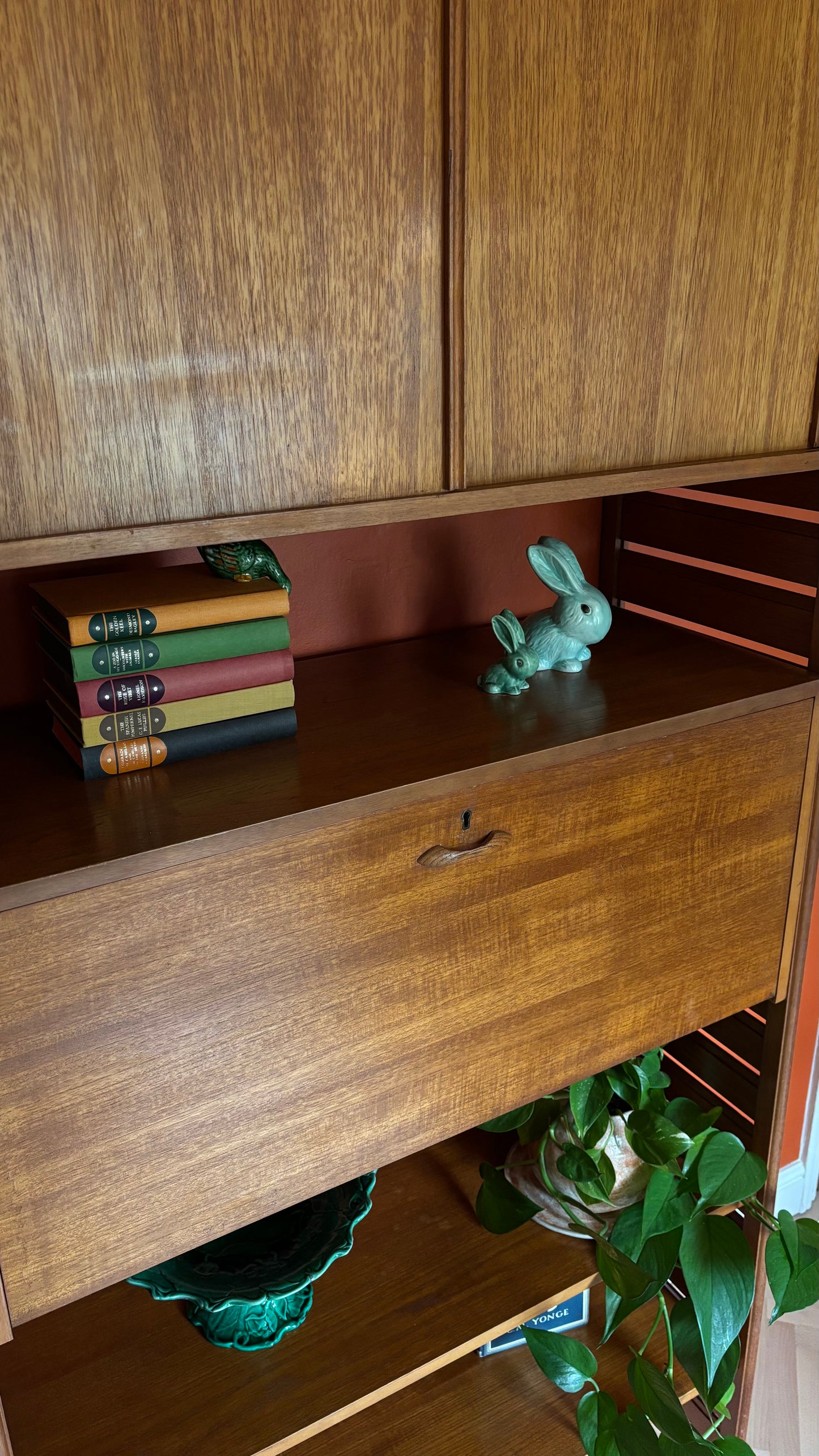 Ladderax Teak Shelving Wall Unit